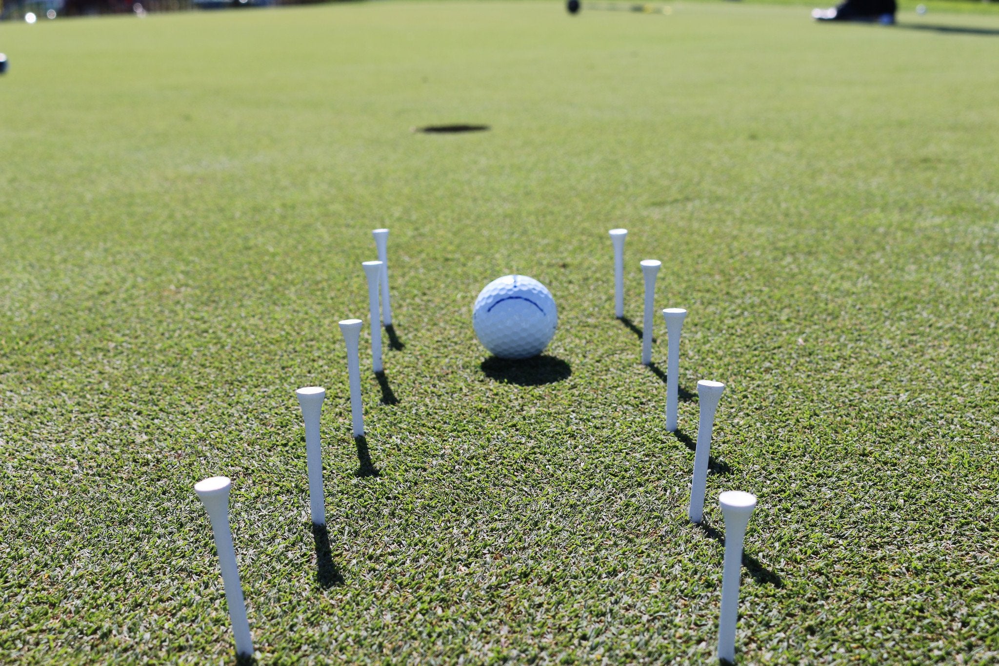 Total Stroke Putting System by Jon & Jim McLean